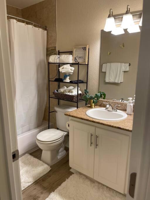 Beautiful/Spacious 2 Bedroom Houston Near Galleria Ngoại thất bức ảnh