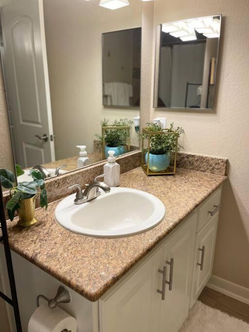 Beautiful/Spacious 2 Bedroom Houston Near Galleria Ngoại thất bức ảnh